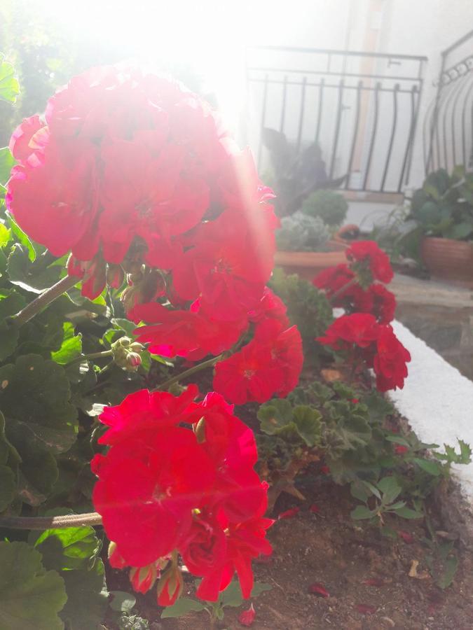 Dionysios Studios Skala  Экстерьер фото